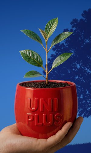 uniplus-account-1600x1200.jpg